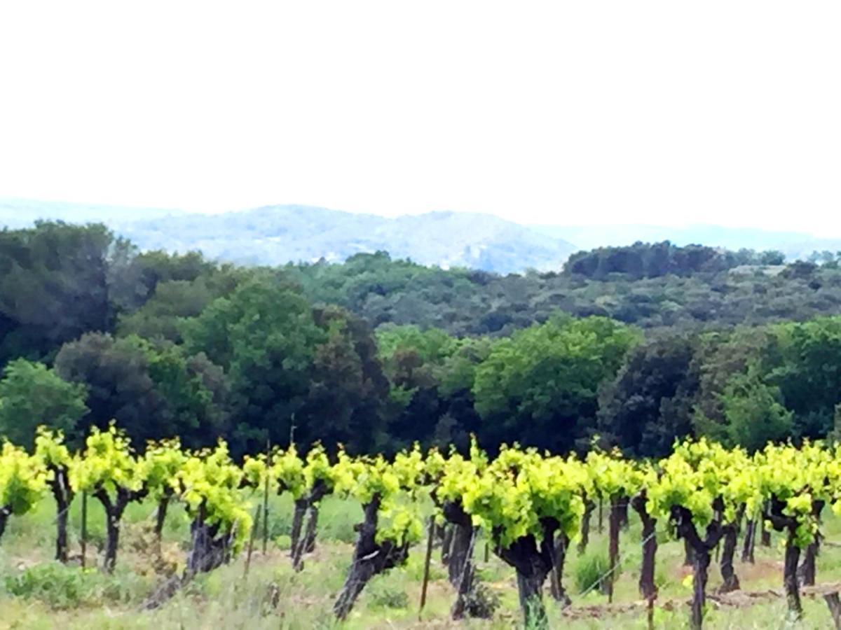 le clos soleilhan Saint-Gervais (Gard) Exterior foto